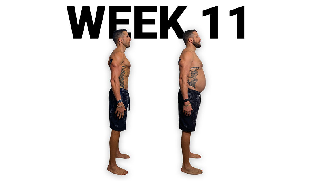 Fit2Fat2Forty Week 11 Updates